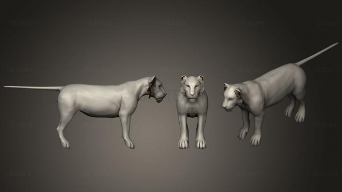 Статуэтки животных Самец Льва